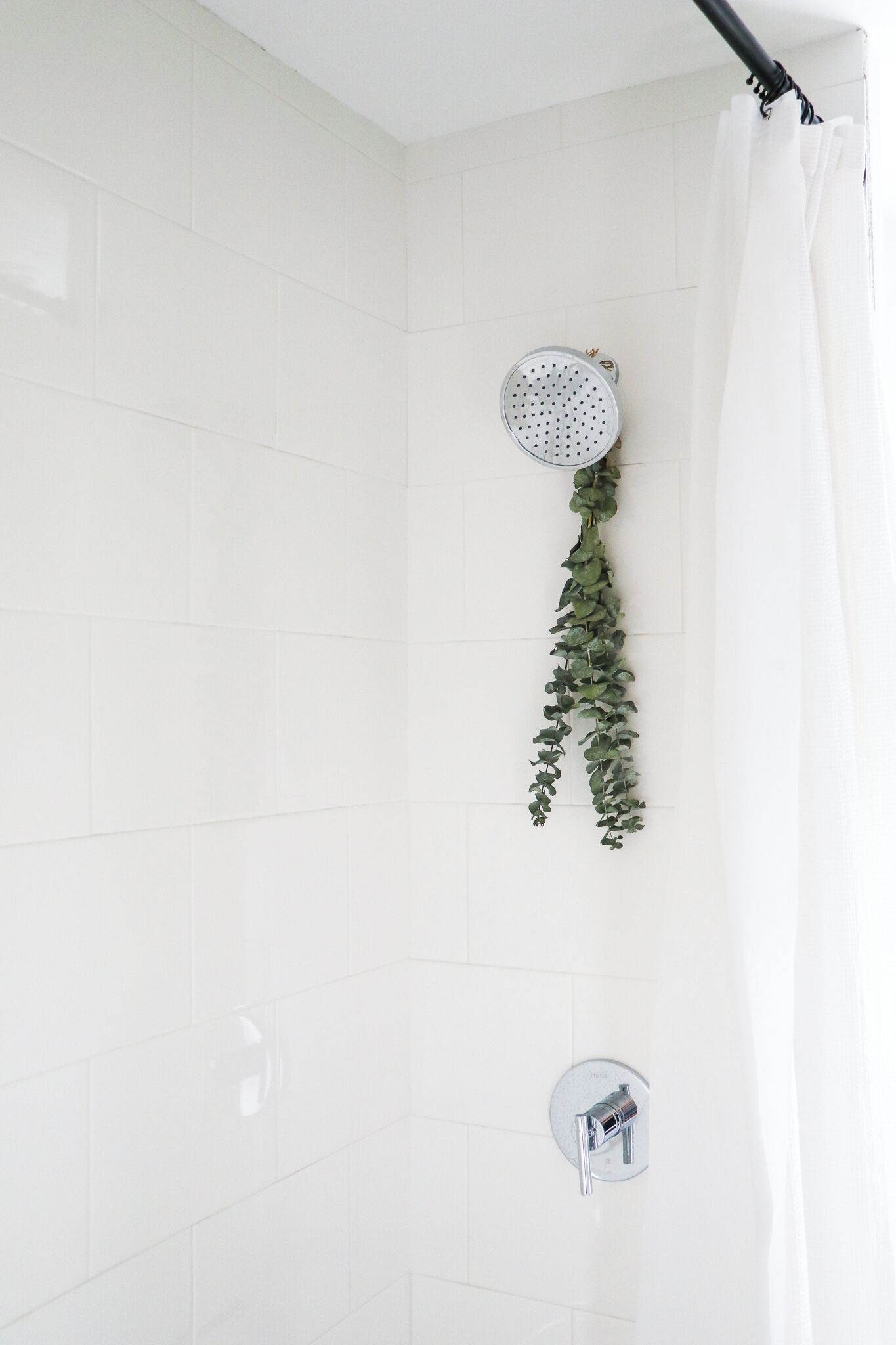 Een douche met een handdouche, een wandmengkraan en een hangplant.