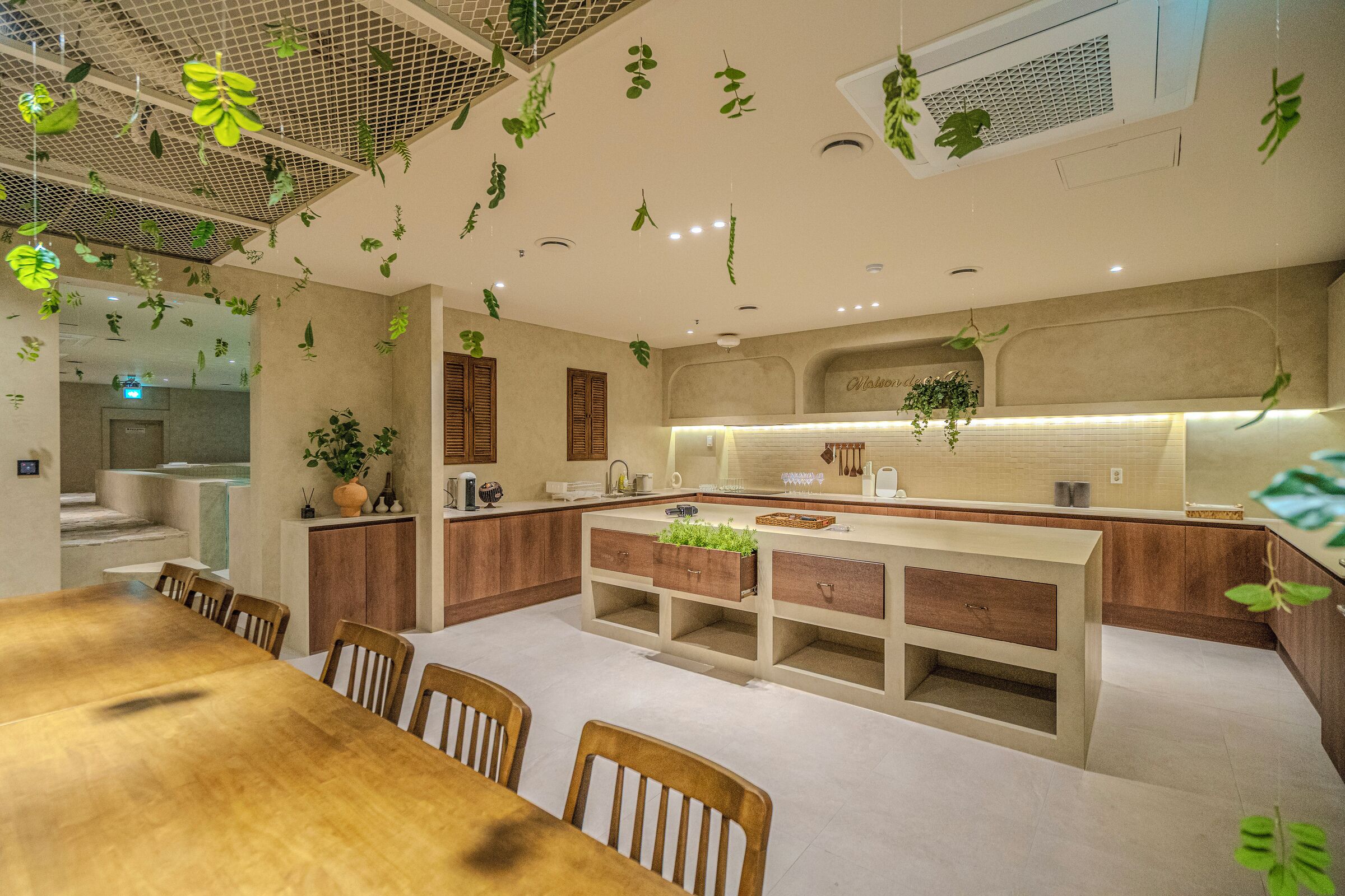 A modern kitchen with wooden cabinets, a central island, and hanging plants.