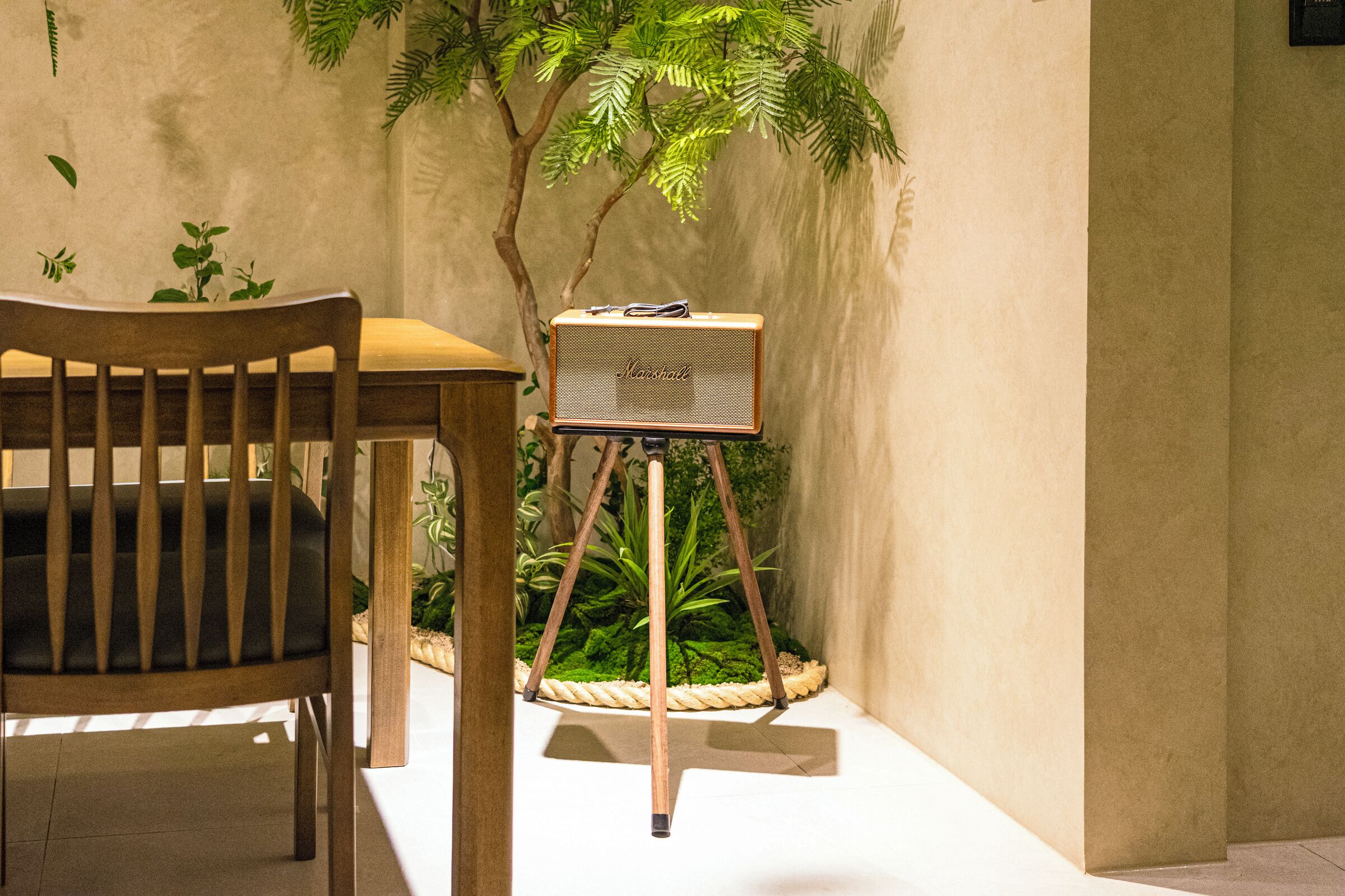 Una silla de madera y un amplificador Marshall sobre un soporte en una habitación con una planta y una pared con textura.