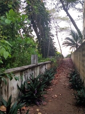 Área da propriedade