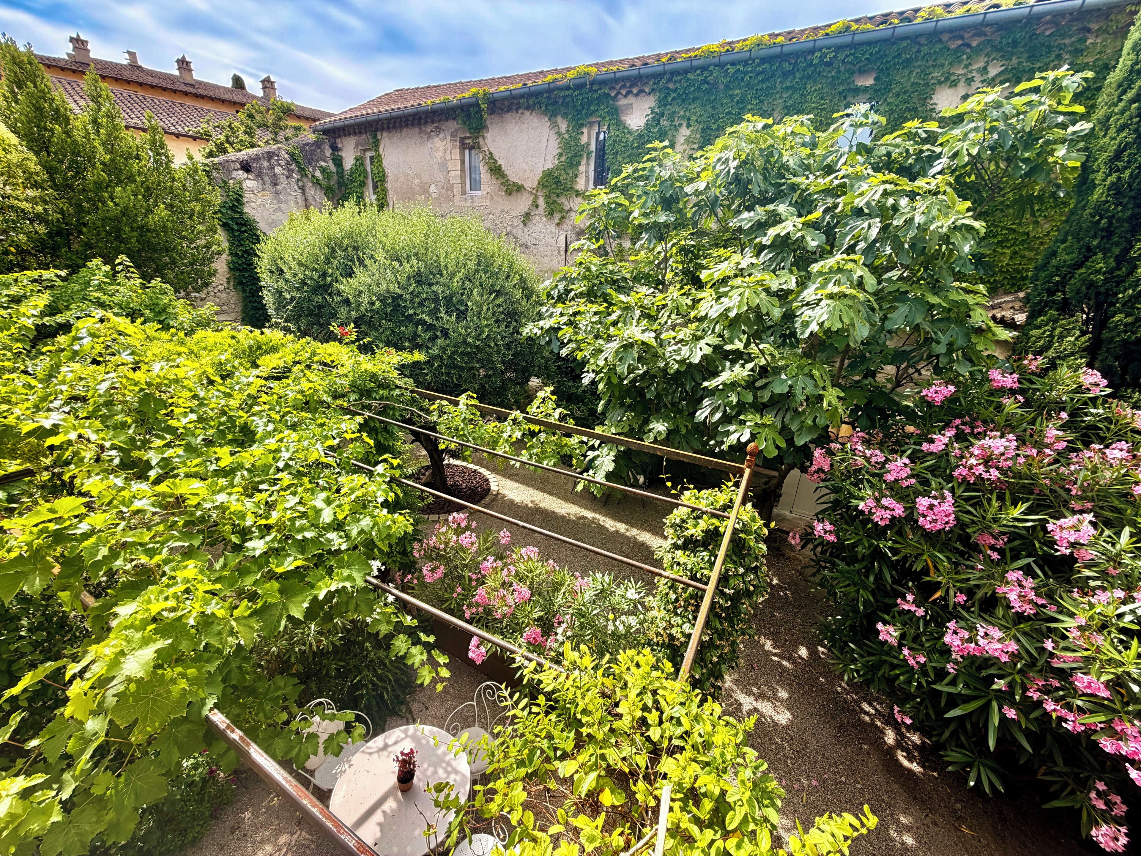 A garden with various plants and a pergola structure.