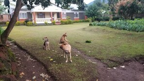 المنطقة المحيطة بالمنشأة