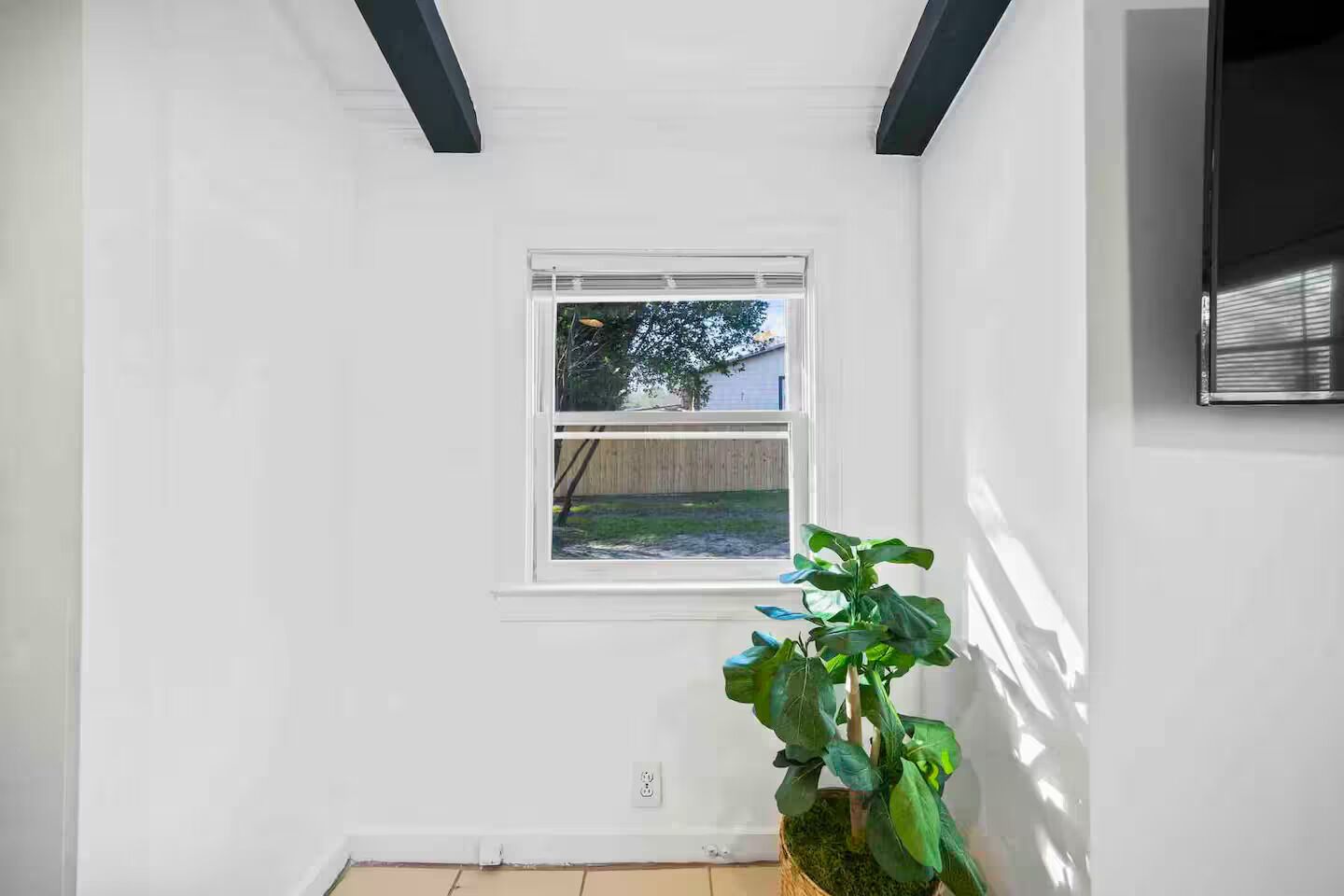 Een kamer met witte wanden, een raam met uitzicht op een achtertuin en een kamerplant.