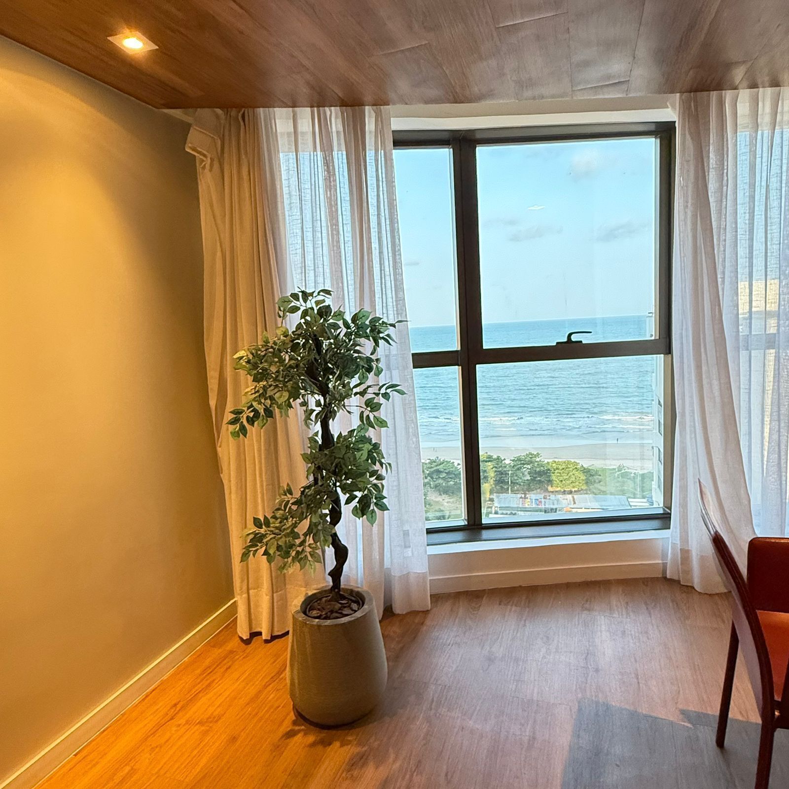 A room with a large window, a potted plant, and a wooden floor.