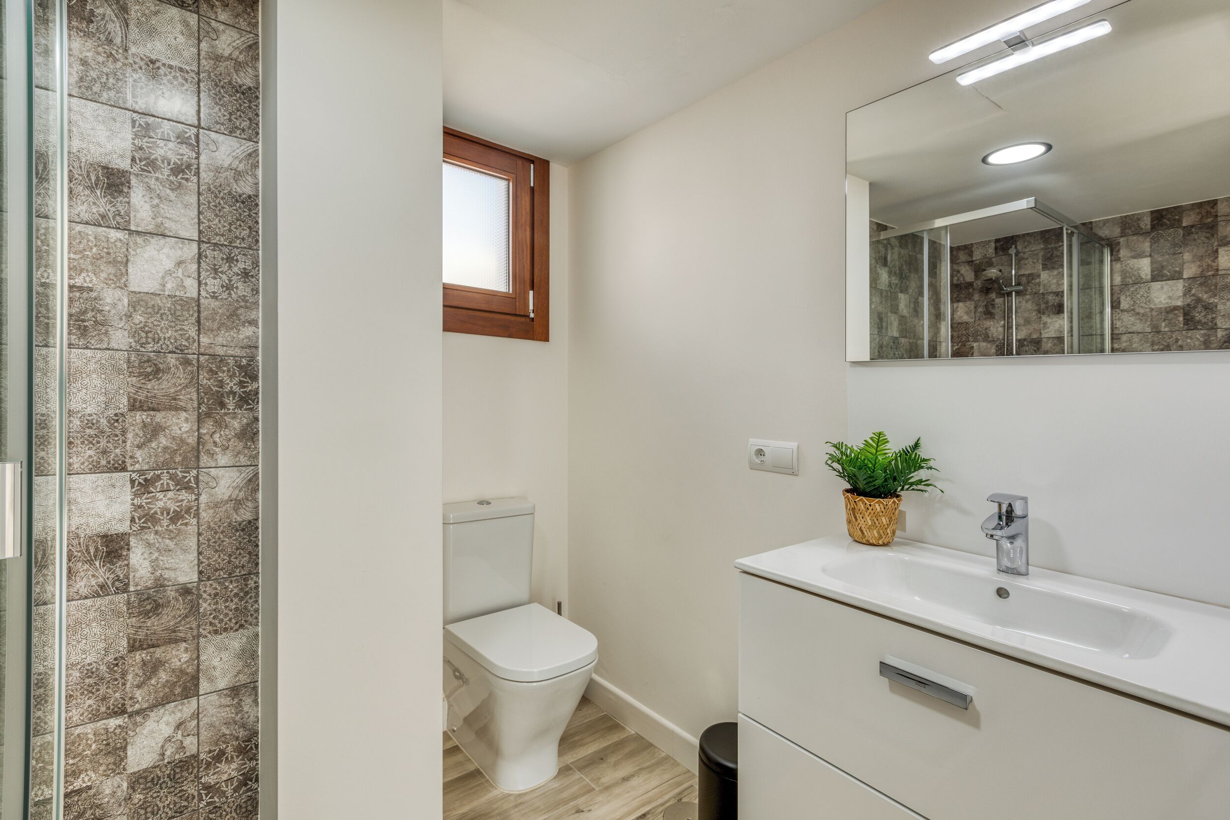 A bathroom with a toilet, sink, mirror, and a potted plant.