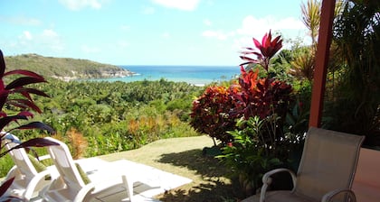 Cliffside Oceanfront FBSHotel Suites near UVF Airport