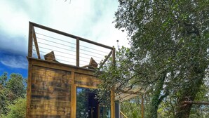 A wooden cabin with a glass door, surrounded by trees and a grassy area. - Recanto lira 2  (Monte Verde)