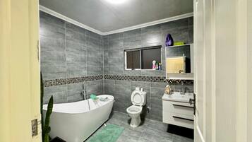 Hårtork, handdukar, tvål och toalettpapper