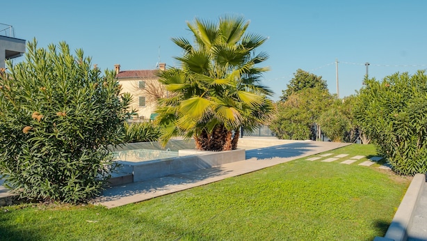 A well-maintained garden with a palm tree, neatly trimmed bushes, and a paved walkway. - Garda Hideaway - Italian Homing (Peschiera del Garda)