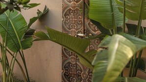 Un jardin avec de grandes feuilles vertes, une clôture en bambou et des carreaux décoratifs.