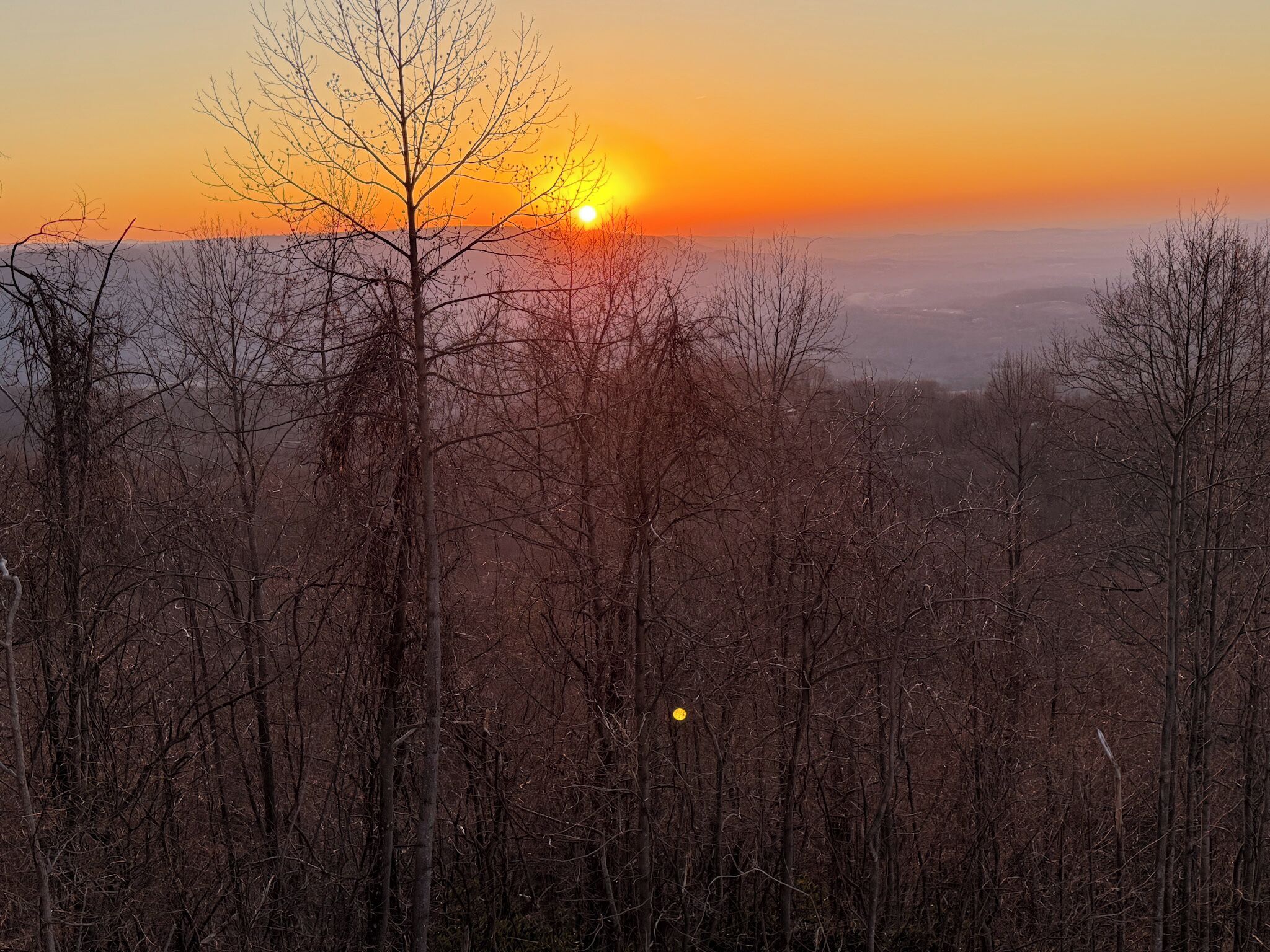Un paisaje boscoso con un atardecer.