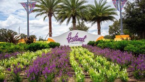 Segnale per Festival Minto Resorts a Orlando con un giardino di fiori viola e bianchi in primo piano.