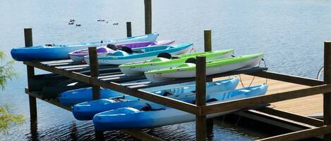 Un molo con diverse canoe e kayak.