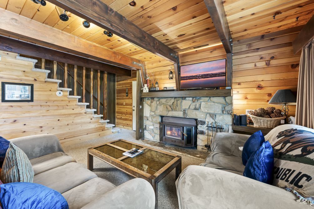 TV, fireplace, video games, books