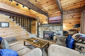 TV, fireplace, video games, books