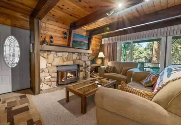 Televisión, chimenea, videojuegos, libros