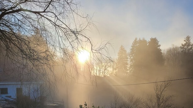 Un chemin de pierres mène à une maison d’où l’on a une vue dégagée sur les arbres environnants, avec un lever de soleil en toile de fond.