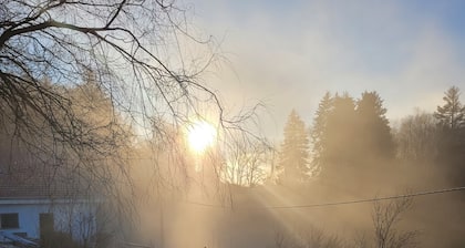 Farmhouse in a green mountain setting. Pets welcome!