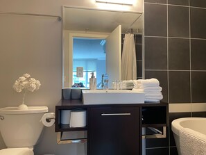 Sèche-cheveux, serviettes fournies, savon, papier toilette