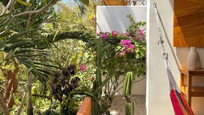 A garden with various plants and a hammock. - A natural setting in Playa Grande, peaceful and relaxing place! (Playa Grande)
