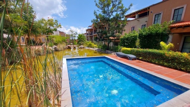Una piscina rectangular con borde de azulejos, rodeada de follaje y un pequeño estanque.