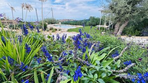 Ein Garten mit blauen Blumen und einem Pool.