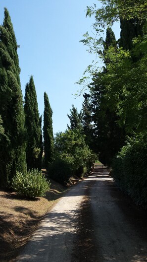 Miscellaneous - Chalet in Chianti with swimming pool and tennis court (Siena)
