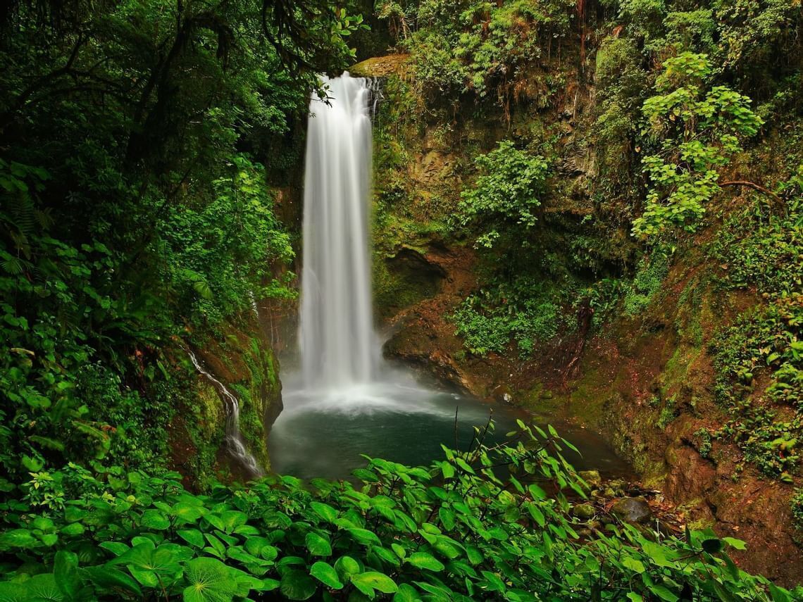 A waterfall surrounded by lush greenery.