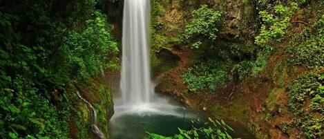 A waterfall surrounded by lush greenery.