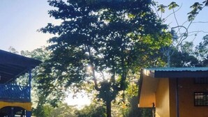 Piscina con agua cristalina que refleja la luz del sol, rodeada de vegetación y un edificio con tejado de baldosas.