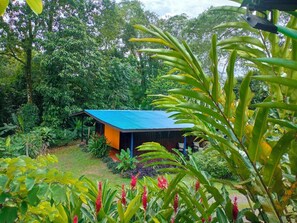 Chambre Standard, vue jardin | Vue de la chambre