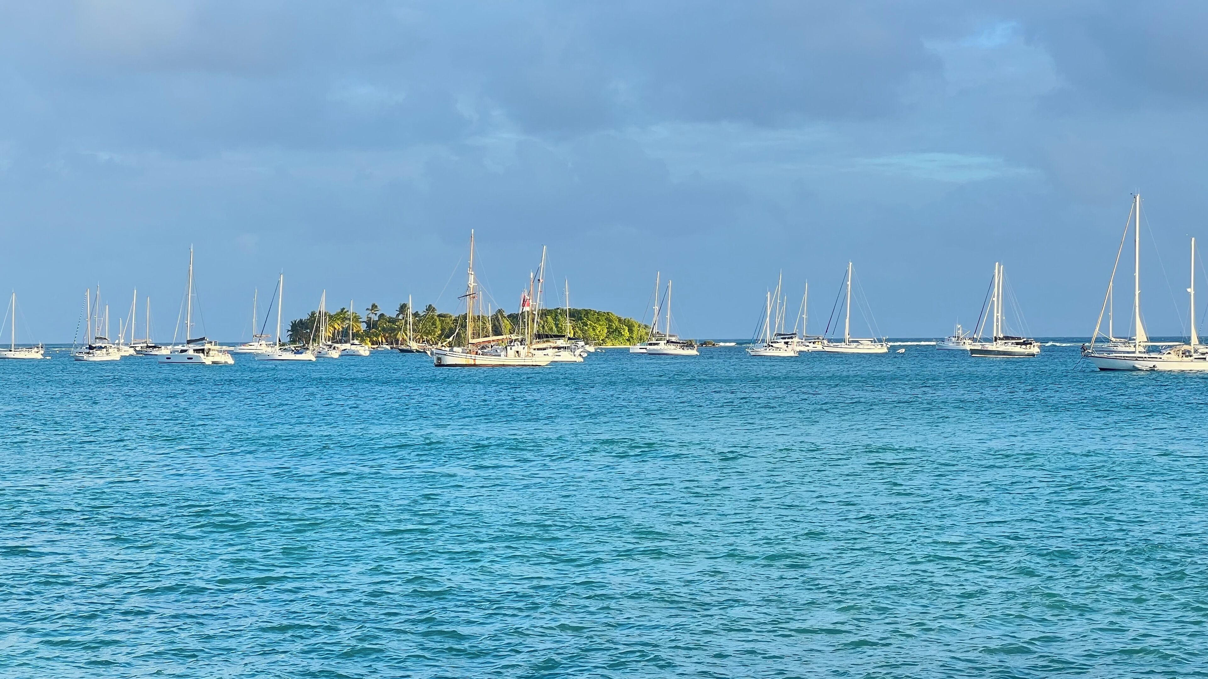 A marina with multiple sailboats docked.