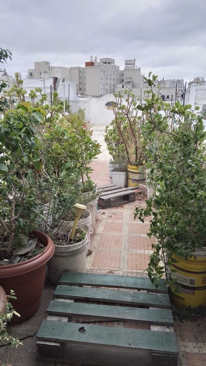 Chic 1-bedroom condo with AC, WiFi in Old City Montevideo on Pedestrian Street