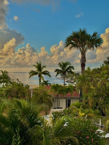 Villa Bourbon:  Jardin tropical, Piscine et vue Mer