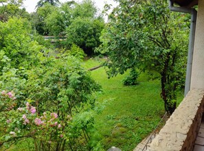 Stroll through this serene garden, surrounded by a variety of trees and shrubs, including blooming flowers.