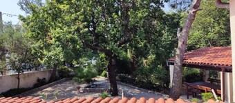 Apartment & Rooms Villa Oliva - Room 4