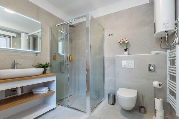 Shower, hair dryer, towels