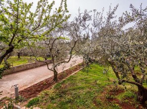 Property grounds - One Bedroom Apartment with Terrace (owner Cvita 2) (Zadar)