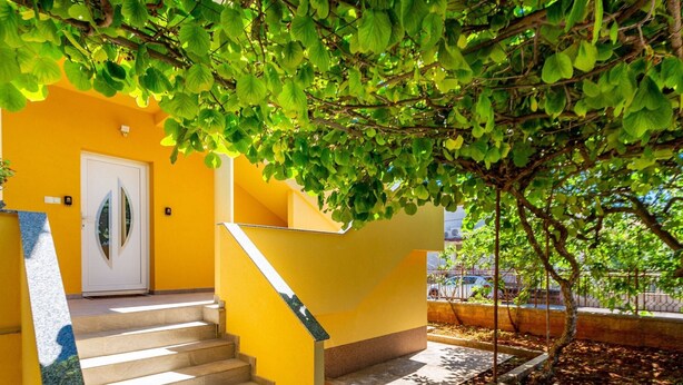 Una escalera conduce a una puerta con panel de vidrio, rodeada por una pared amarilla y follaje.