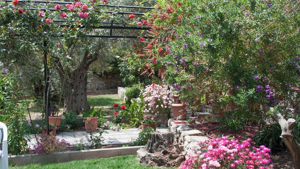 Un jardín con diferentes plantas y flores en macetas, un enrejado de madera y un muro de piedra.