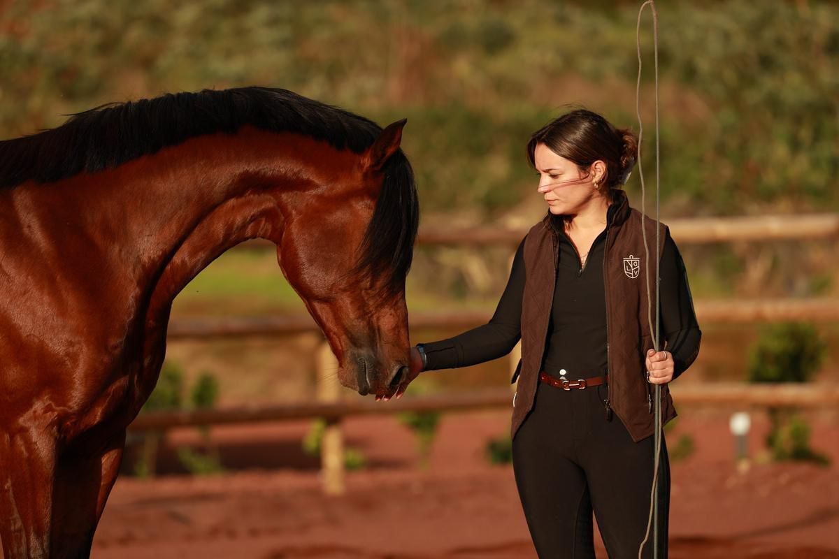 A person in equestrian attire holding a horse's reins, with a blurred background of greenery and a fence.