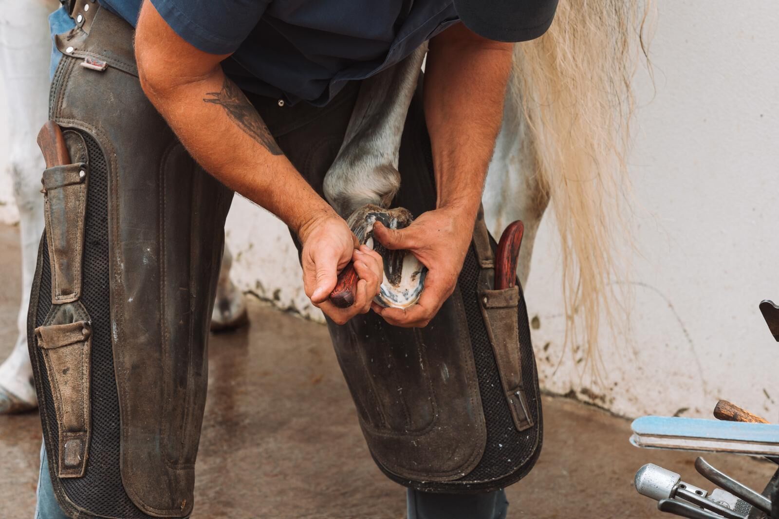 Escursioni a cavallo
