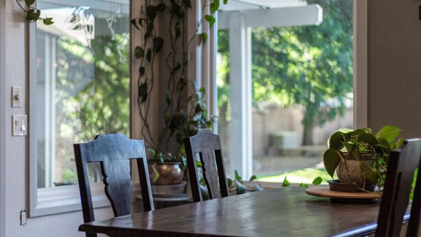 Un coin repas avec une table et des chaises, une plante en pot et une vue par la fenêtre.