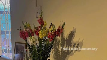 Deluxe Studio | Living area