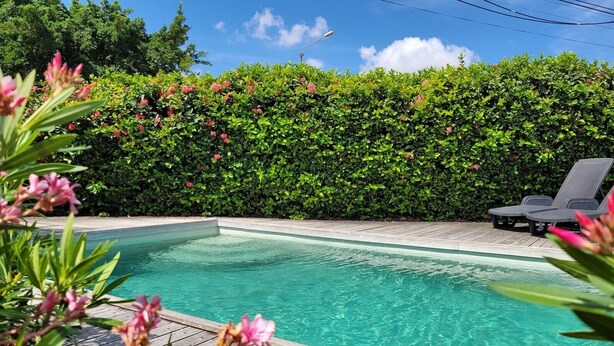 A swimming pool with a wooden deck and lounge chairs. - Apartment centrally located near Mambo beach Curacao (Willemstad)