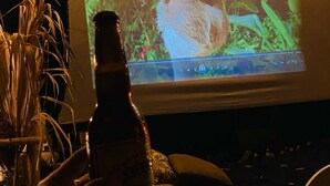 Een kamer met een groot scherm waarop een natuurscène wordt getoond, een biertje en een plant.