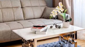 A beige sofa, a white coffee table with books and a potted plant, and a blue rug. - Art Living Vienna (Vienna)