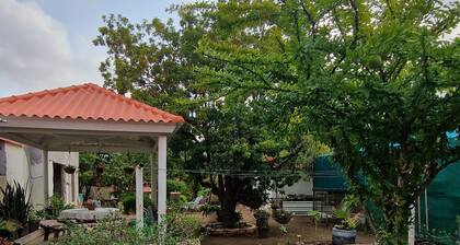 Cozy small studio room in Julianadorp with own bathroom and kitchenette