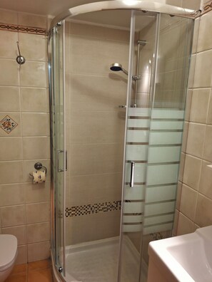 Shower, hair dryer, bidet, towels