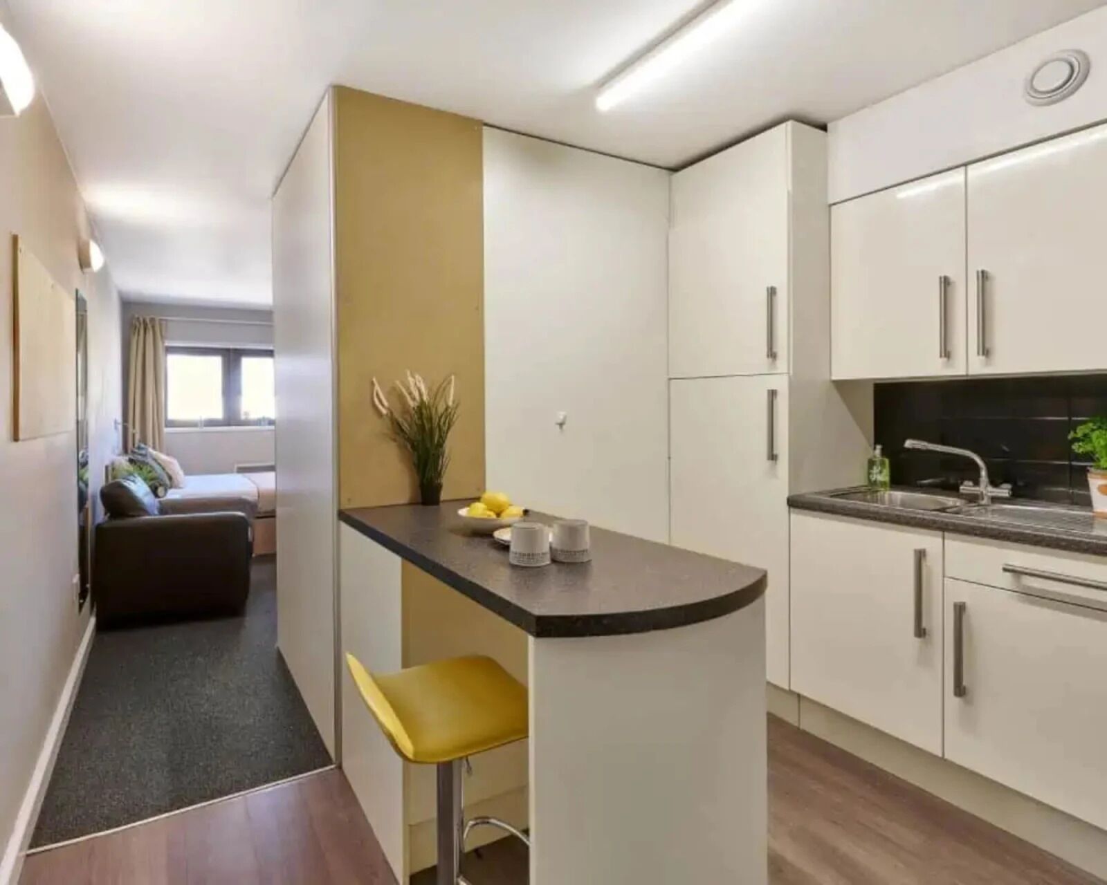 Studio, Non Smoking | Private kitchen